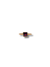 The Garnet Gallery