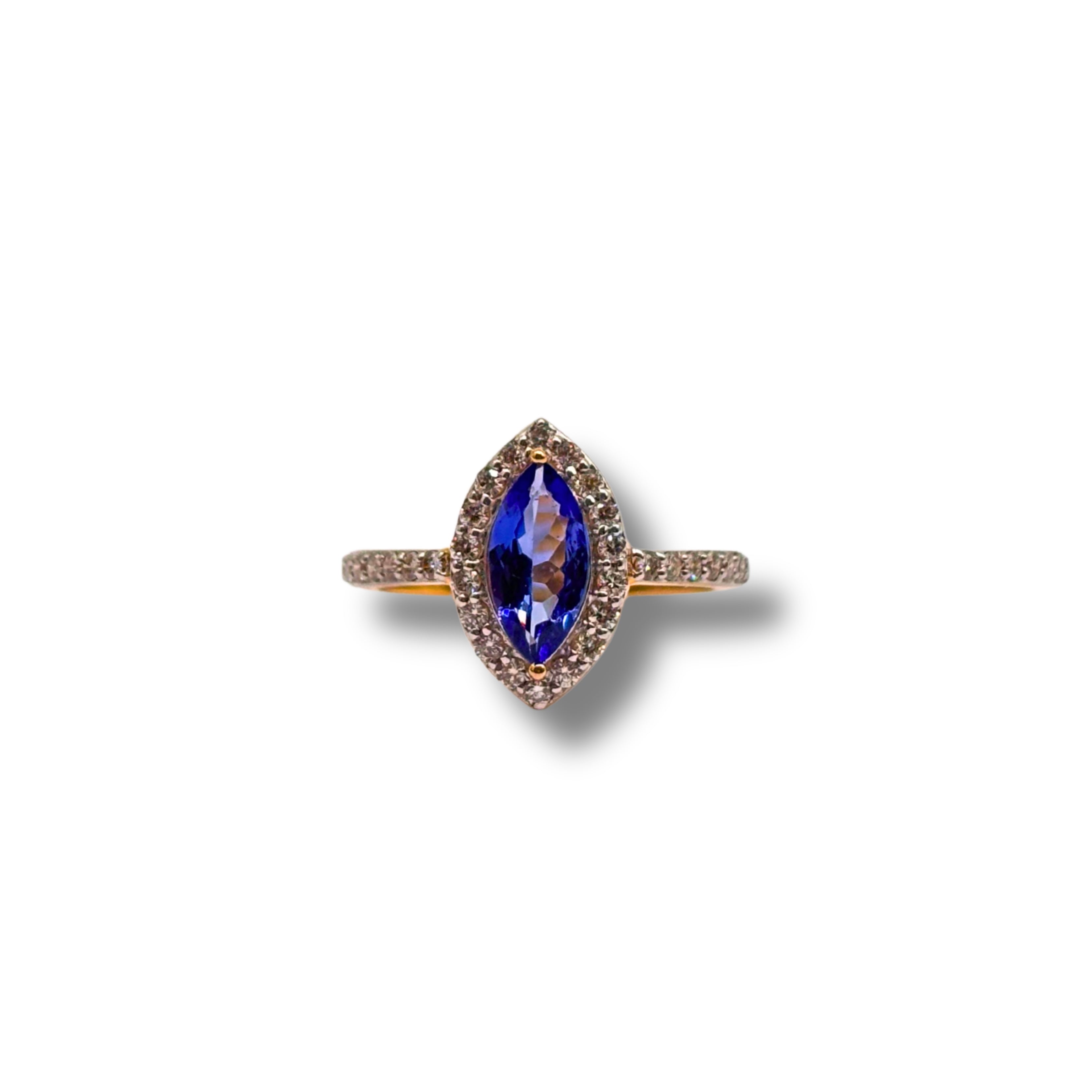 The Midnight Marquise