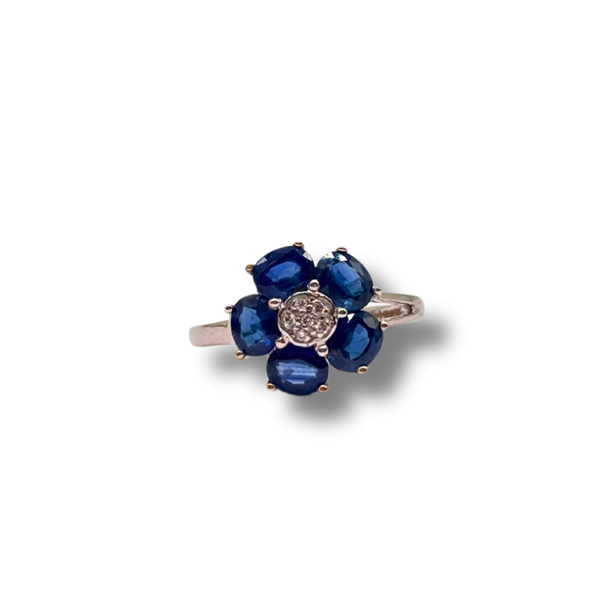 The Sapphire Blossom