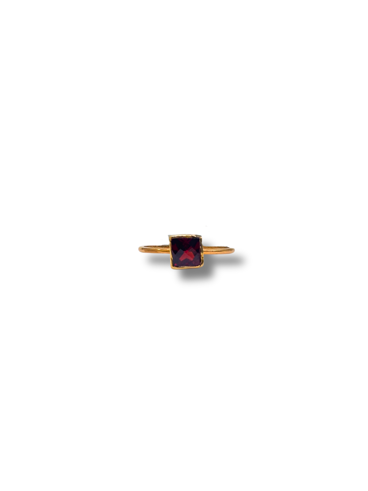 The Garnet Gallery